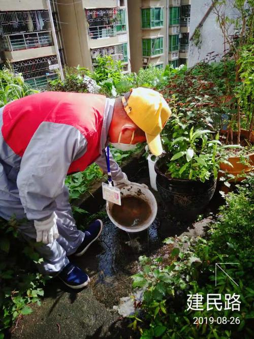 2019-8-26 中亿远环保科技对南湾街道进行病媒生物防治 - 美